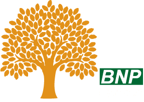 bnp group logo on a transparent background with white lettering GROUP