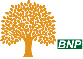 bnp group logo on a transparent background with white lettering GROUP