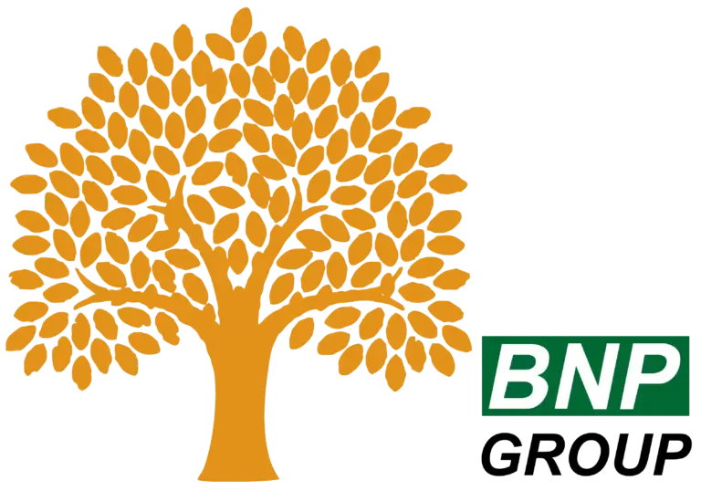 BNP Group logo